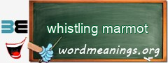 WordMeaning blackboard for whistling marmot